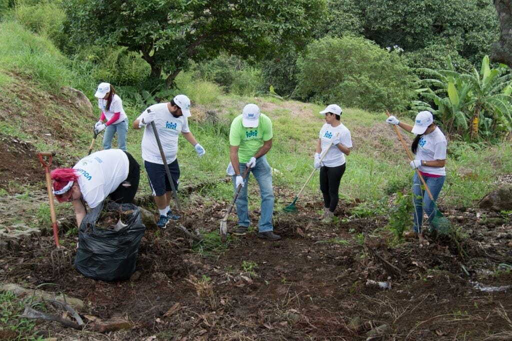 Photo of volunteers working